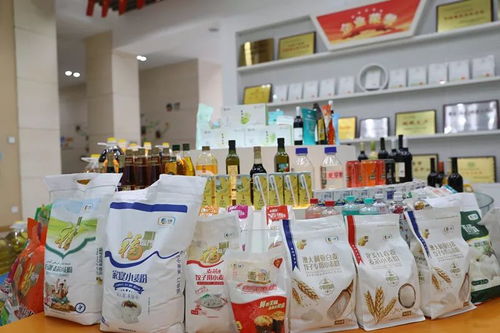 新津縣委書記調(diào)研企業(yè)疫情防控工作,鼓勵企業(yè)化危為機,服務(wù)社會